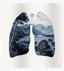 Frisch Poster