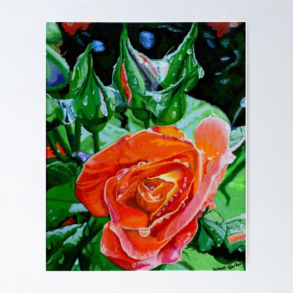 Artikelvorschau, Orange Rose mit Knospen und Tröpfchen entworfen und verkauft von RobertBarkerArt.
