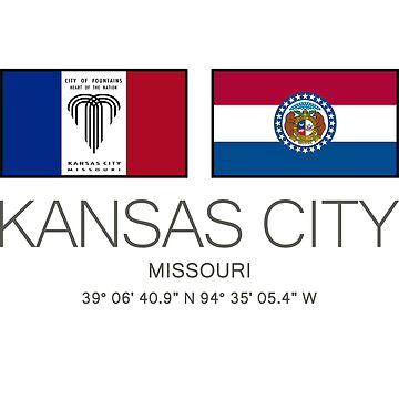 Printify St Louis Missouri City Flag Gray / 2x