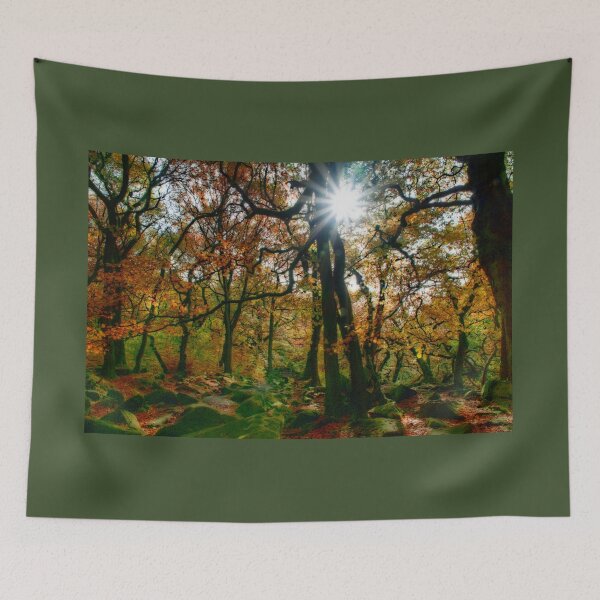 Artikelvorschau, Padley Gorge Starburst Sonne entworfen und verkauft von Alisonchambers2.