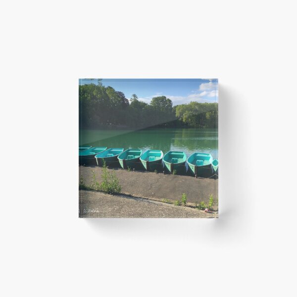 Aperçu de l'œuvre Lyon - Alignement de barques au parc créée et vendue par AHELENE.