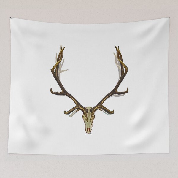 Item preview, Bull elk skull European mount shadows designed and sold by Saltypro.