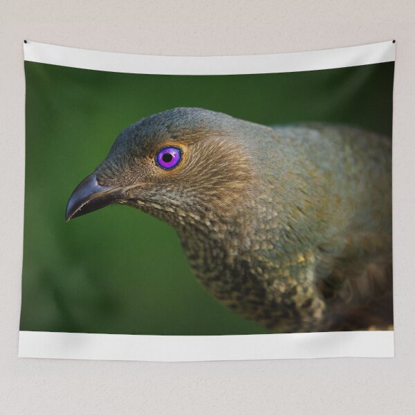 Item preview, Satin Bowerbird portrait designed and sold by theleastone.