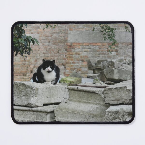 Item preview, Maxwell says Hello Everybody designed and sold by Nerone.