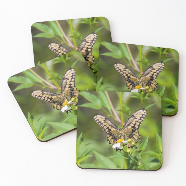 Item preview, Giant Swallowtail Butterfly 220905 designed and sold by Roland McCoy.