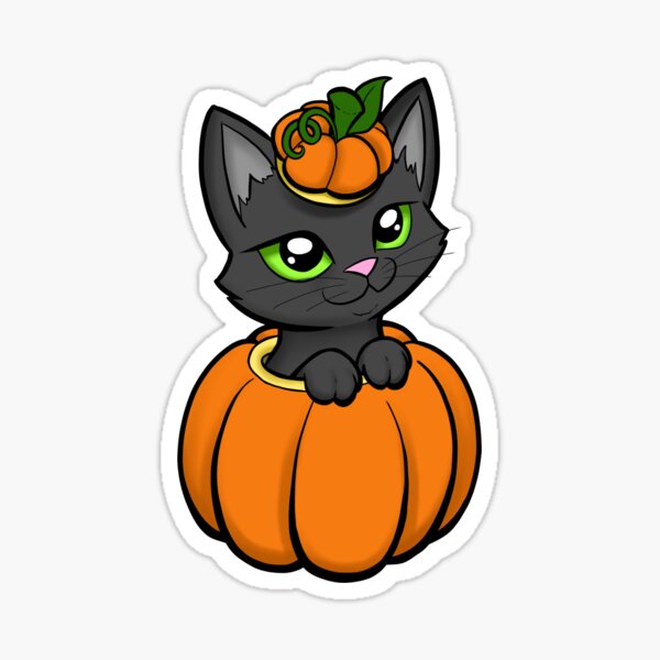 Pumpkin Cat Merch & Gifts for Sale