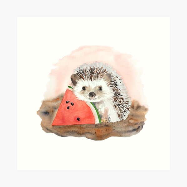 Baby Hedgehog with Watermelon Art Print
