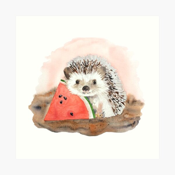 Baby Hedgehog with Watermelon Art Print
