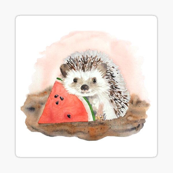 Baby Hedgehog with Watermelon Sticker