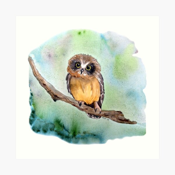 Baby Owl Art Print