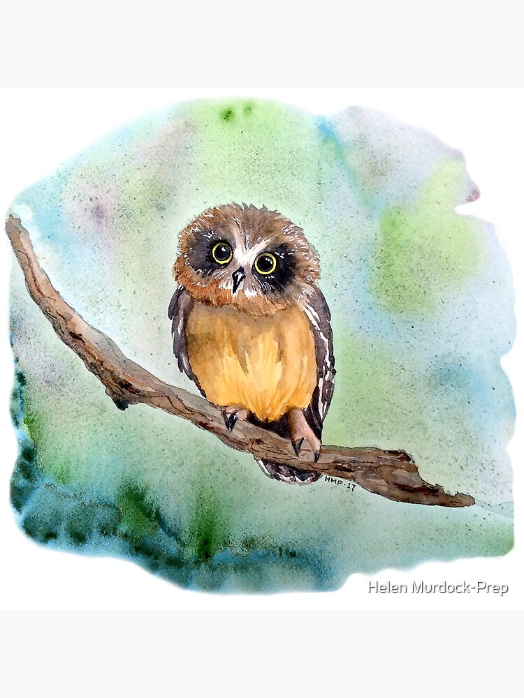 Impression Rigide Alors Ce Petit Egayera Sa Journee A L Origine J Ai Cree Cette Piece En Utilisant Un Tableau D Aquarelles Pour Capturer Ce Bebe Hibou Par Helenink Redbubble