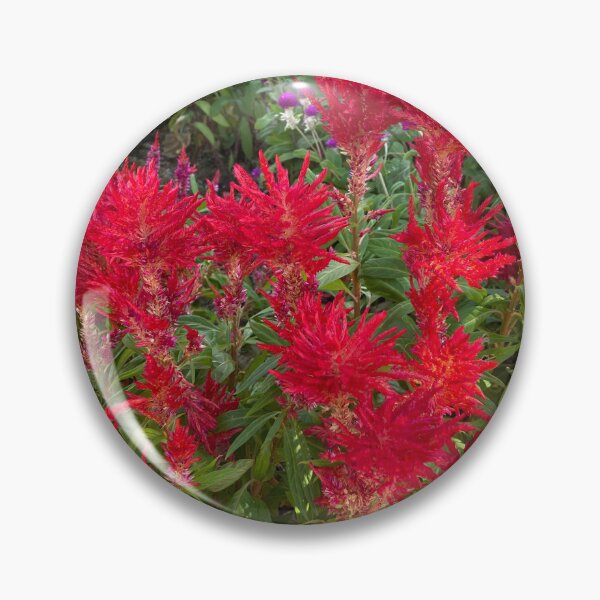 Item preview, Bank of Red Cockscomb Flowers designed and sold by Sinemathk.