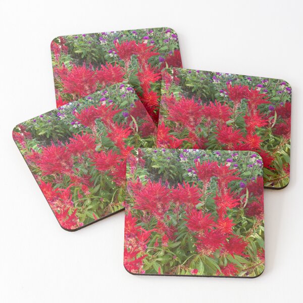 Item preview, Bank of Red Cockscomb Flowers designed and sold by Sinemathk.