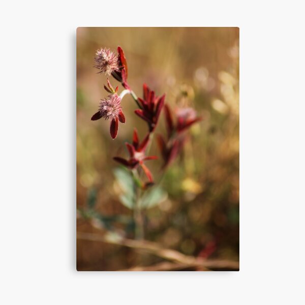 Item preview, hare's foot trefoil, red leaves 2 designed and sold by Dawna Morton.