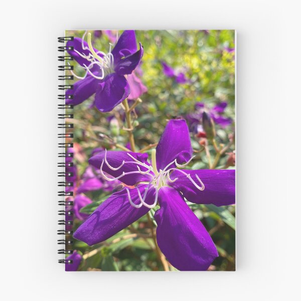 Item preview, Purple Melastoma Candidum Flowers designed and sold by Sinemathk.
