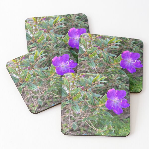 Item preview, Single Purple Melastoma Candidum Flower designed and sold by Sinemathk.