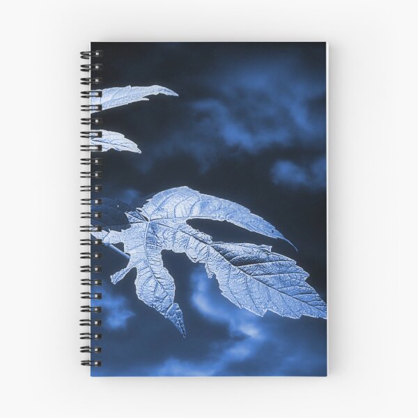 Item preview, Moonlight Blue designed and sold by Christine Lake.