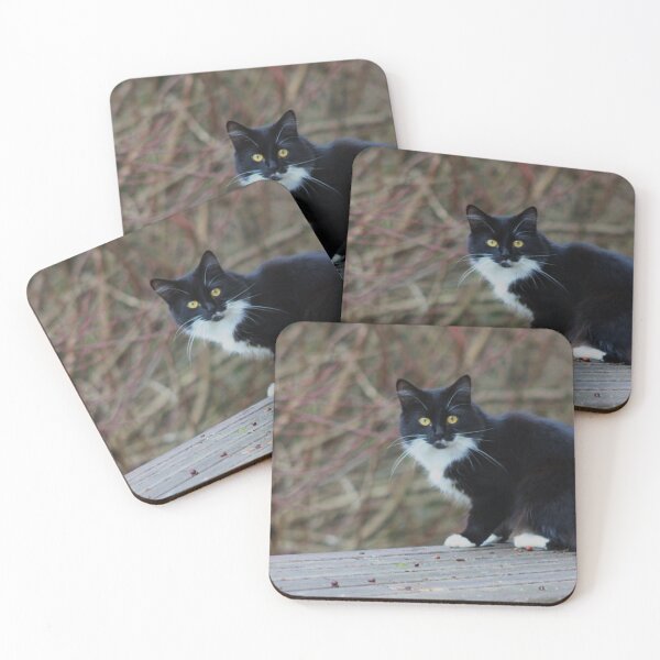 Item preview, black and white fluffy cat designed and sold by Francespoppy.