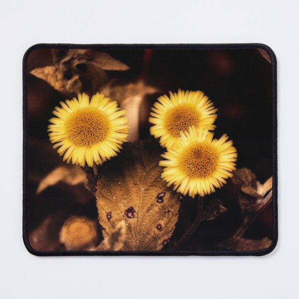Item preview, yellow wildflowers designed and sold by Francespoppy.