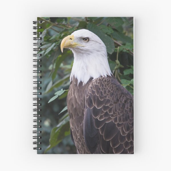 Item preview, American Bald Eagle designed and sold by Imagery.