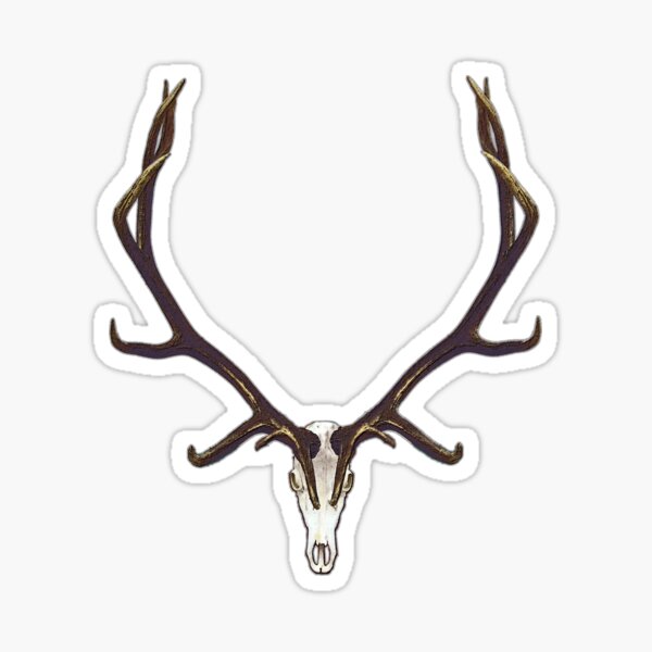 Bull elk skull European mount Sticker