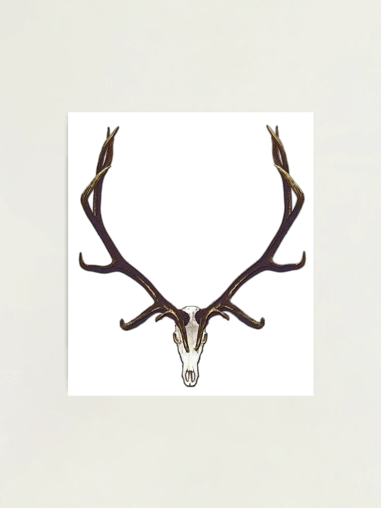  Elk Skull Decal - Elk Hunting Sticker - European Mount