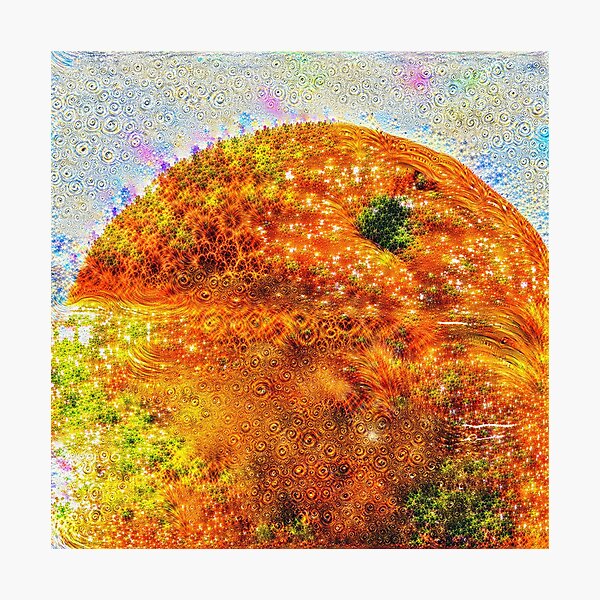 #DeepDreamed Frozen Orange Photographic Print