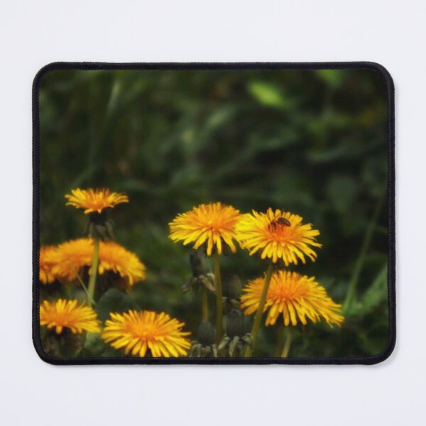 Item preview, yellow dandelions designed and sold by Francespoppy.