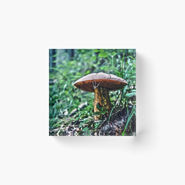 Item preview, Mushroom and pine cone designed and sold by TimConstable.