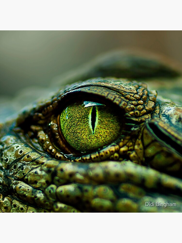 Eye of the Crocodile [iPad / Phone cases / Prints / Decor] by GreenEyedHarpy