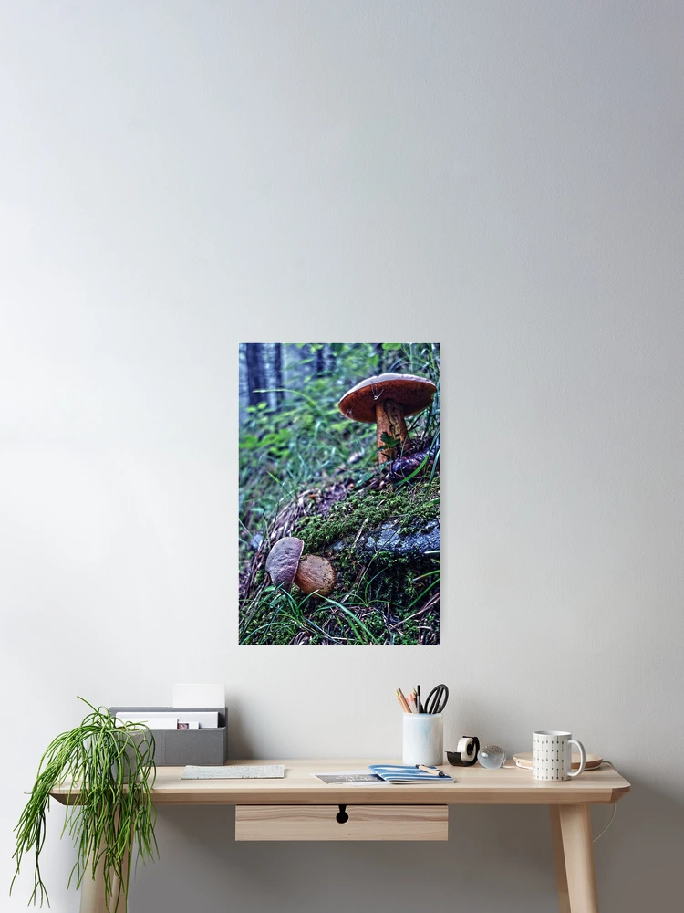 Thumbnail 2 of 3, Poster, Foraging designed and sold by TimConstable.