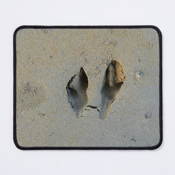 Item preview, Wallaby Footprints in Sand designed and sold by Birgit Moldenhauer.