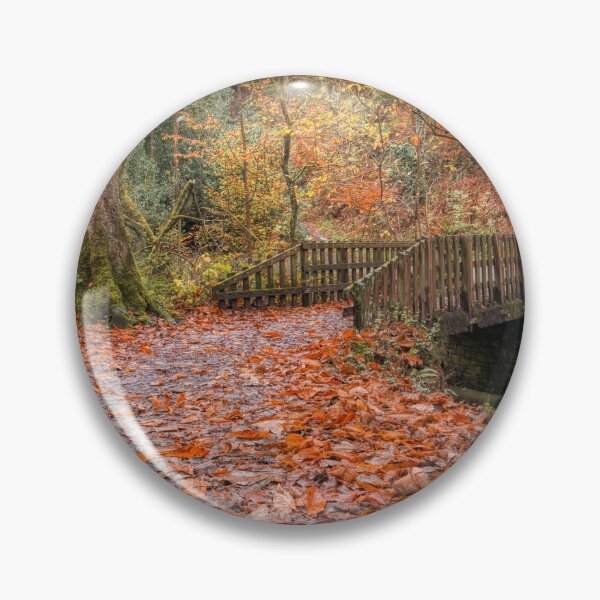 Item preview, Autumn Colours at Sunnyhurst Wood, Darwen, Lancashire designed and sold by Shafiq Khan.