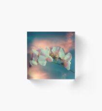 Enchanted Evening Acrylic Block