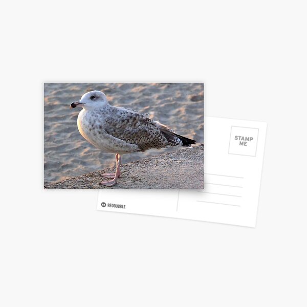 Item preview, A morning encounter designed and sold by jchanders.