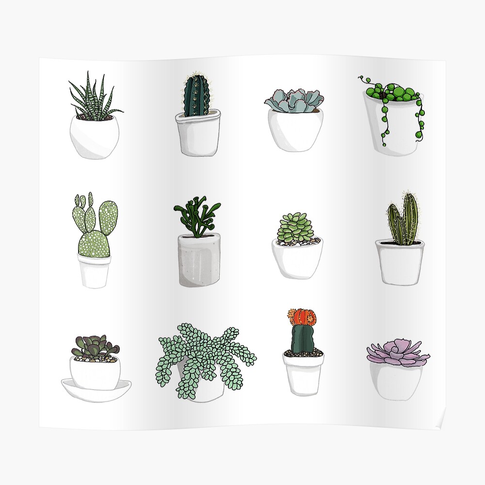 Succulents Sticker for Sale by katherineblower