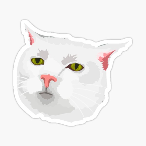 Pack 3 Pcs Sticker - Funny Innocent Cat Face - Cat Meme Sticker