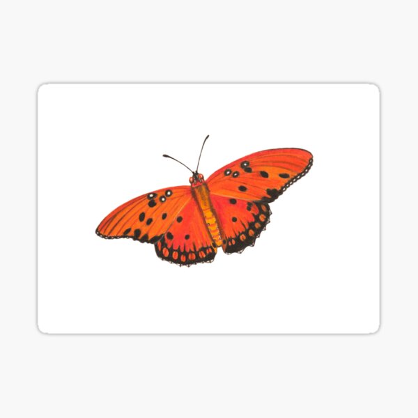 Gulf Fritillary Butterfly Sticker