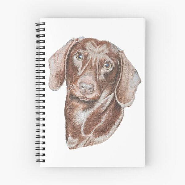 Item preview, Brown Dachshund designed and sold by cathyscreations.
