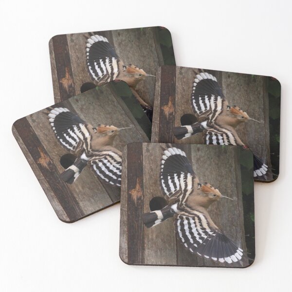 Item preview, Hoopoe In Feuersbrunn, Lower Austria designed and sold by Mythos57.