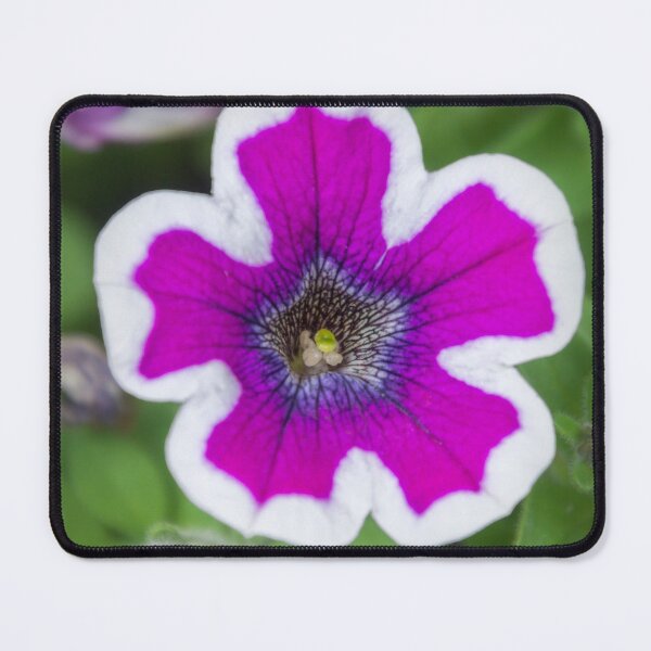 Item preview, Beauty of A Garden Petunia designed and sold by Debra Martz.