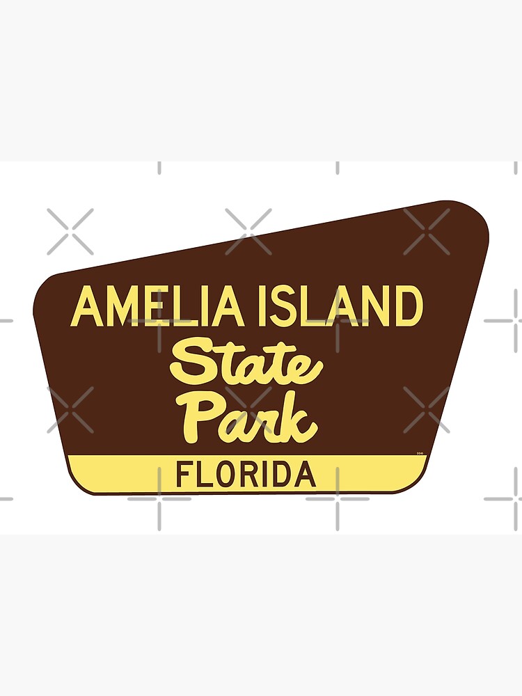 Amelia Island State Park Florida Fl Poster For Sale By Myhandmadesigns Redbubble 