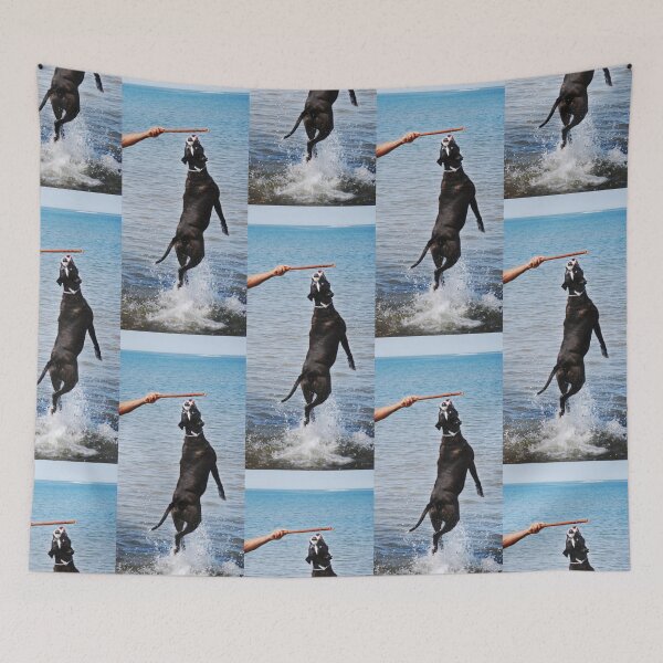 Item preview, Fetch! designed and sold by Laurie Minor.