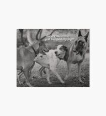 Harvey Weinstein’s Animal Instincts. Art Board