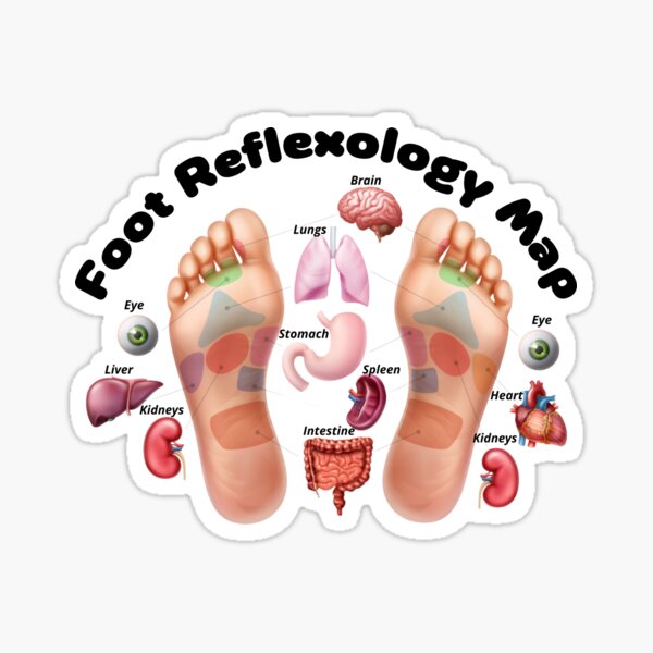 Item preview, Foot Reflexology Map designed and sold by The Shark  Designer.
