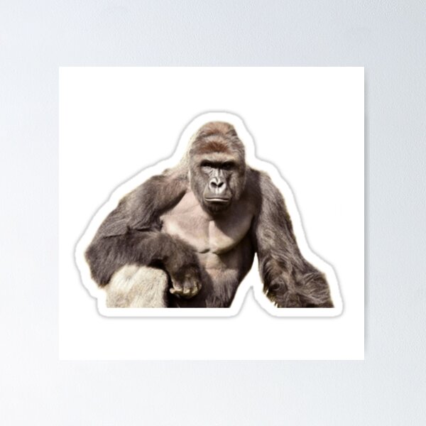 Item preview, Harambe meme designed and sold by jamcaYT.