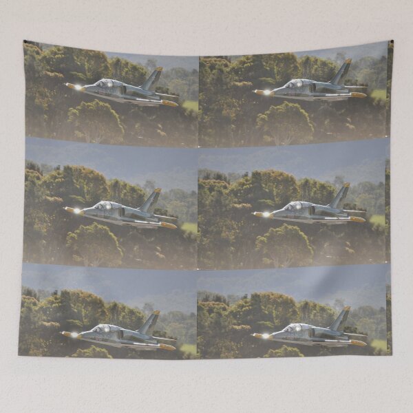 Item preview,  Albion Park Airshow 2017-Albatross VH-IOT climbout designed and sold by muz2142.