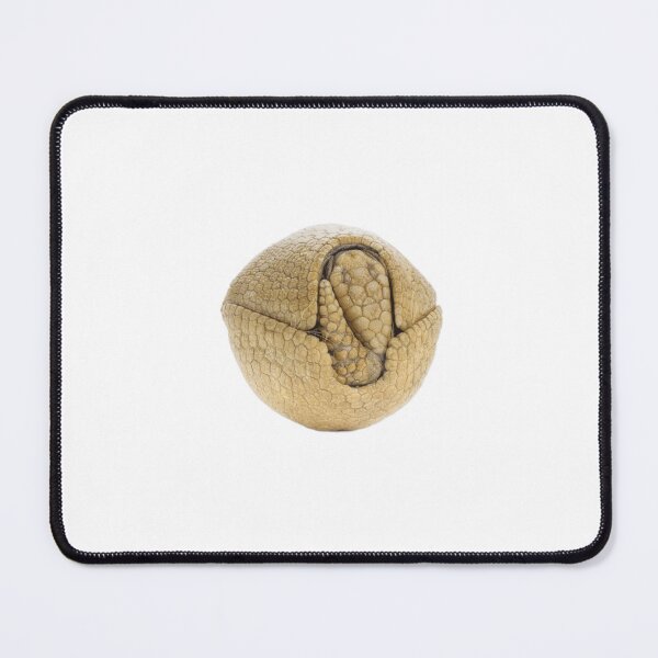 Item preview, Armadillo designed and sold by jamcaYT.