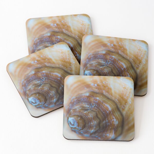 Item preview, Spiral of a Conch Shell designed and sold by Bill Spengler's Photographic Thoughts.