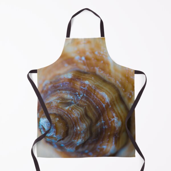 Item preview, Spiral of a Conch Shell designed and sold by Bill Spengler's Photographic Thoughts.